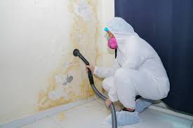 Best Mold Remediation for Healthcare Facilities  in Chandler, AZ